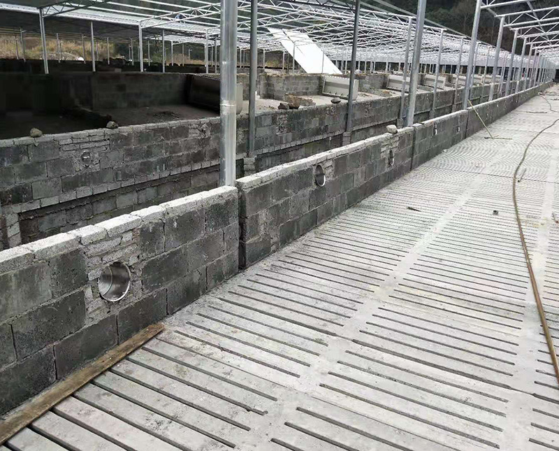 水泥漏糞板在養殖廠受到重用的原因 水泥漏糞板在養殖廠受到重用的原因